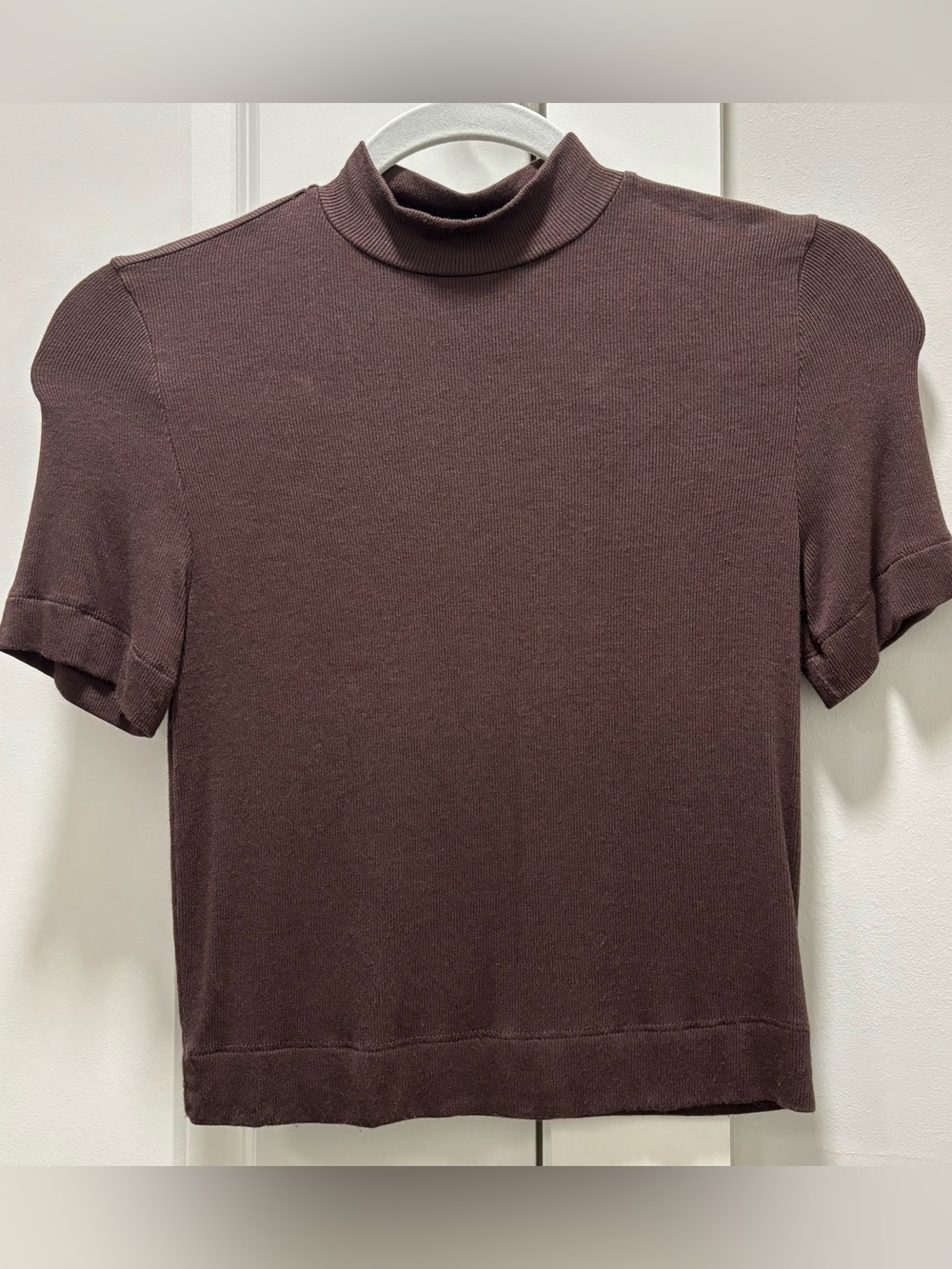 Aritzia Short-Sleeve Mock Neck Top in Dark Brown